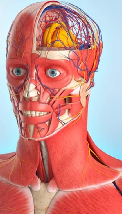 3D Organon VR Anatomy: Explorez l’Anatomie Humaine en Réalité Virtuelle
